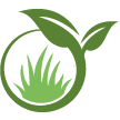 Pflugerville Lawn Clean Up