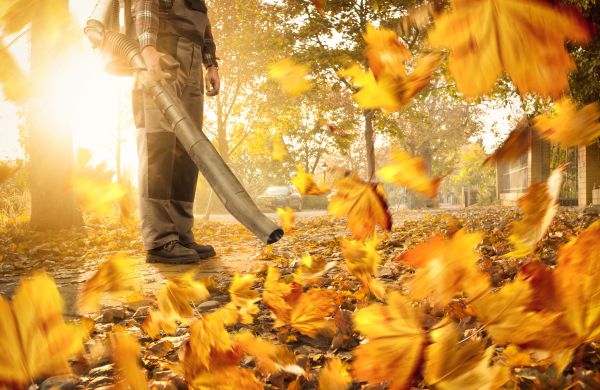 Cost of Leaf Blowing Service in Pflugerville