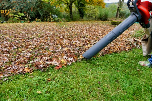 Cost of Leaf Vacuuming Service in Pflugerville