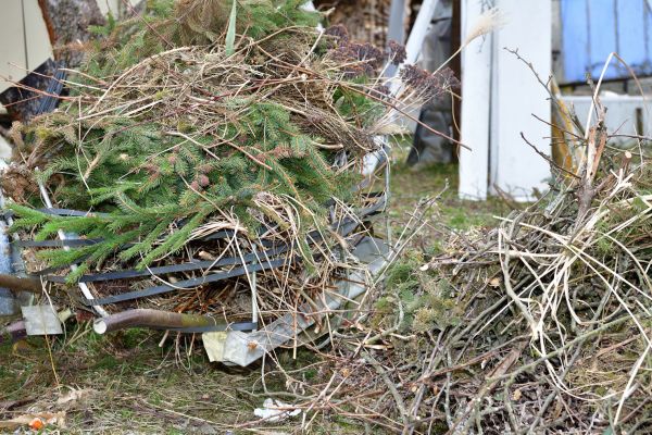 Cost of Yard Waste Removal Service in Pflugerville