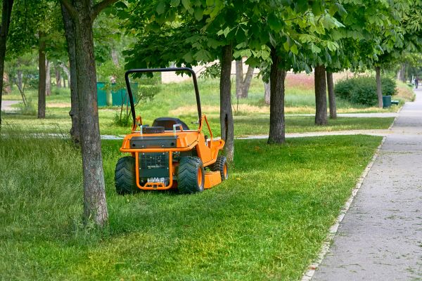Cost of Landscaping Cleanup Service in Pflugerville