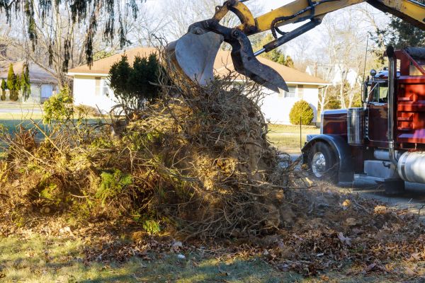 Cost of Storm Debris Removal in Pflugerville
