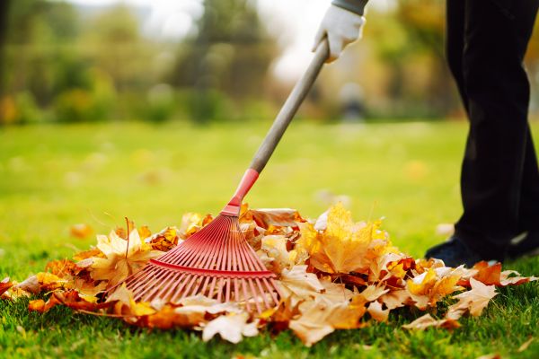 Cost of Ditch Leaf Removal in Pflugerville