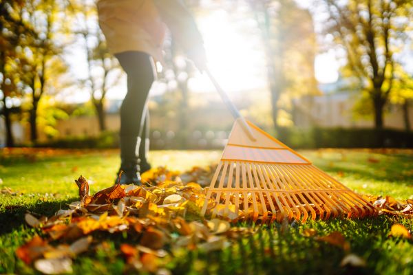 Cost of Leaves Raking in Pflugerville