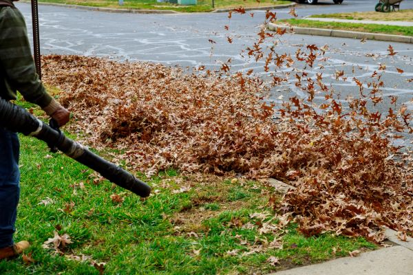Cost of Garden Leaf Removal in Pflugerville