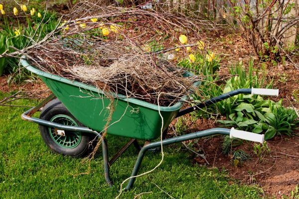 Cost of Lawn Waste Removal in Pflugerville