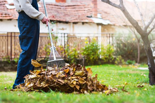 Cost of Fall Yard Cleanup Service in Pflugerville