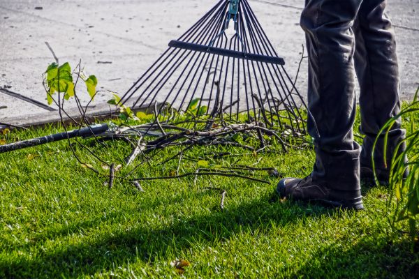 Cost of Yard Debris Cleanup in Pflugerville