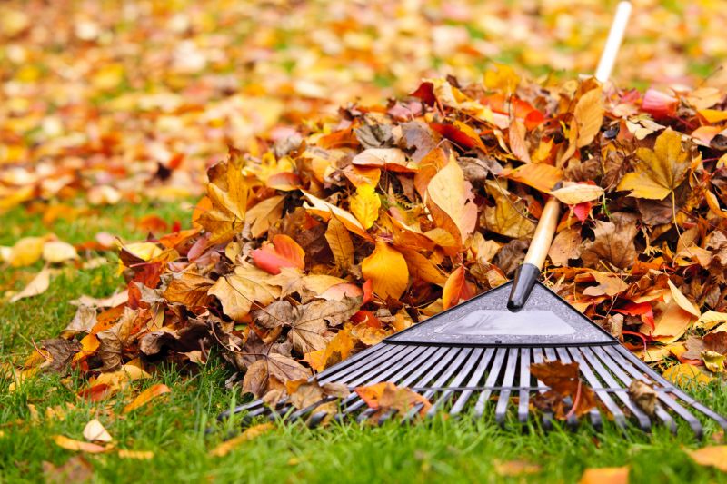 Lawn Care in Fall