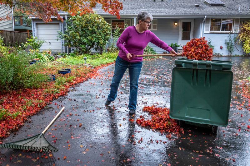 Removing Fallen Leaves