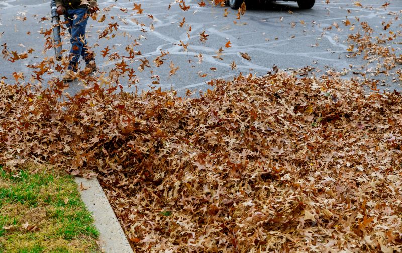 Aerial View of Leaf Cleanup