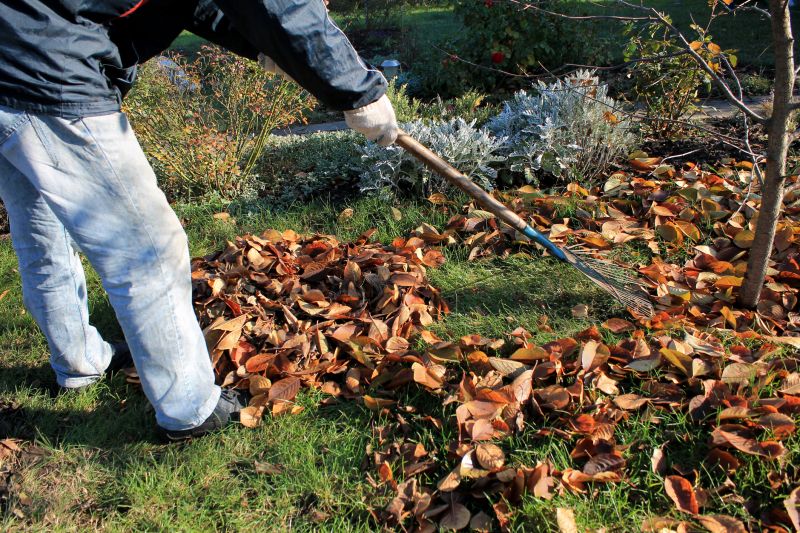 Seasonal Leaf Clearing