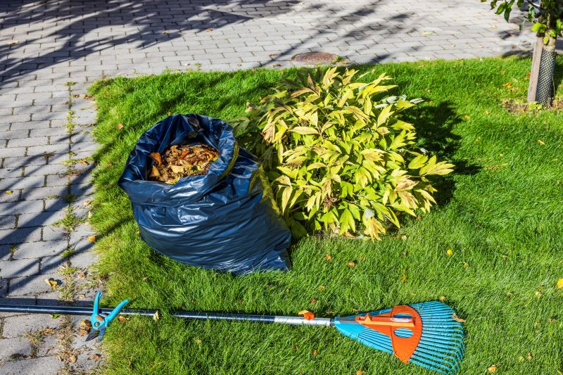 Lawn Clean Up Service