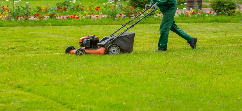Lawn Clean Up Service